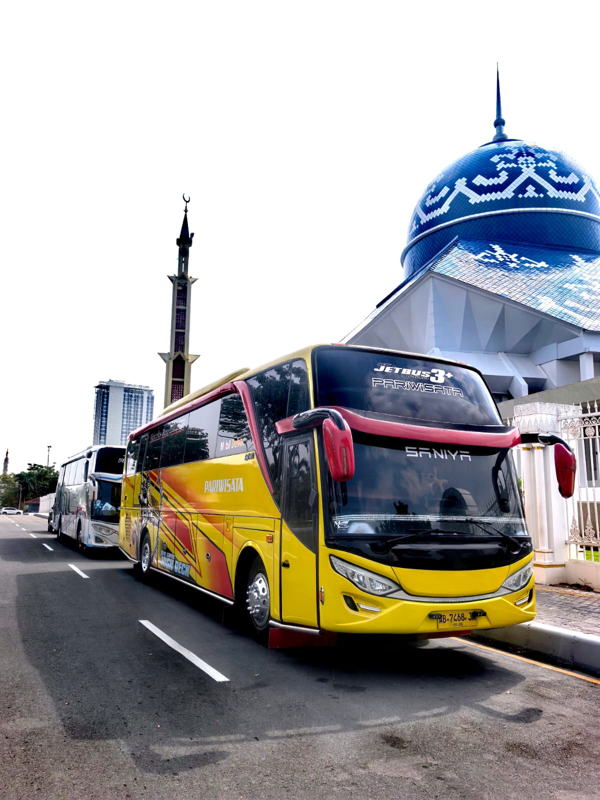Bigbuss_48s